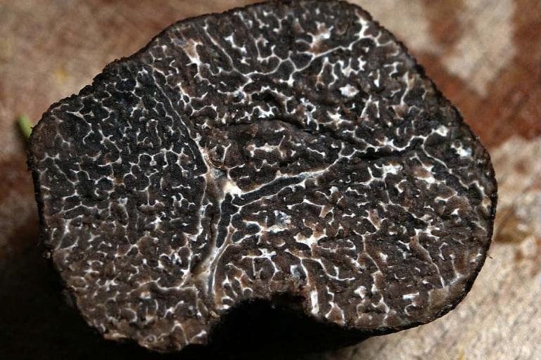 A black truffle sliced open to show its marbled center