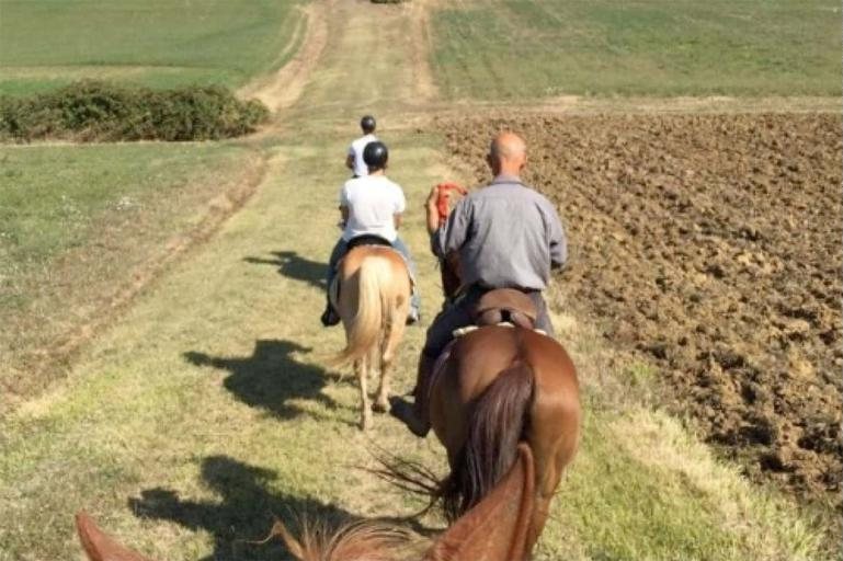 Riders on horseback following a grassy track between plowed fields