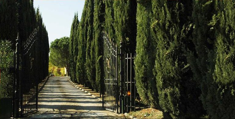 A long gravel avenue lined with tall cypress trees and iron gates