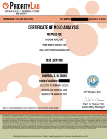 Sample Mold Report