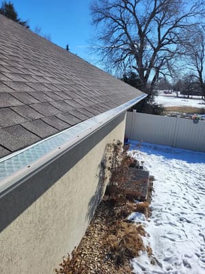 Tree Pruning in Valley Center ks