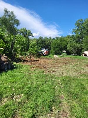 {{ custom_values.service_3 }} in {{custom_values.area_3})