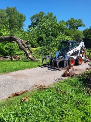 Hazardous Tree Removal in Valley Center ks
