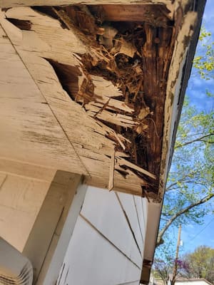 {{ custom_values.service_3 }} in {{custom_values.area_2})