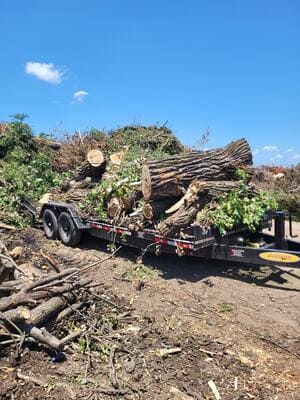 Lawn Treatments in Valley Center ks