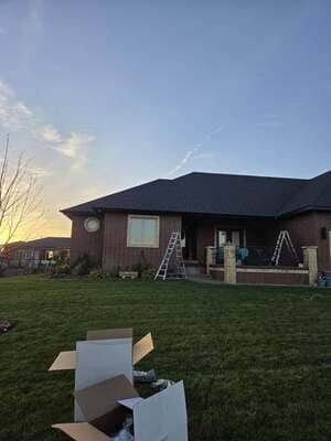 Tree Pruning in Valley Center ks