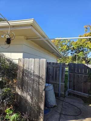 Tree Health Assesments in Wichita ks