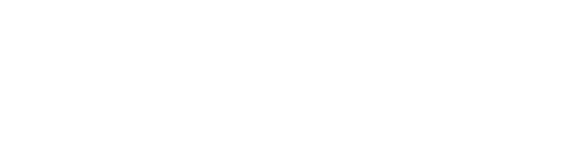 Fabricio's Logo