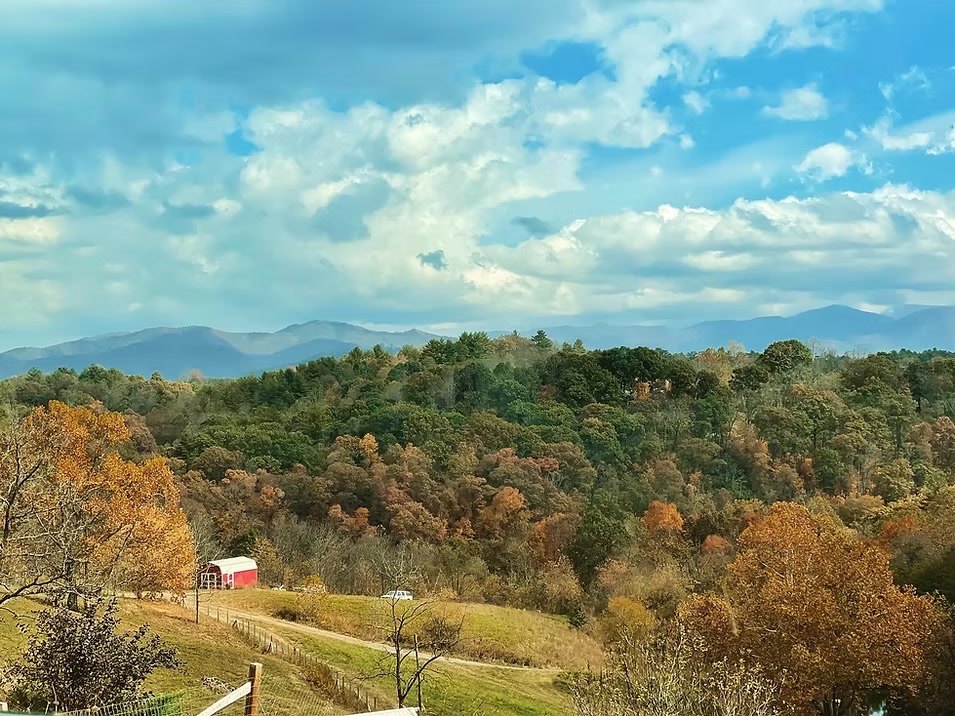 Autumn colour across the mountains above French Broad River Farms