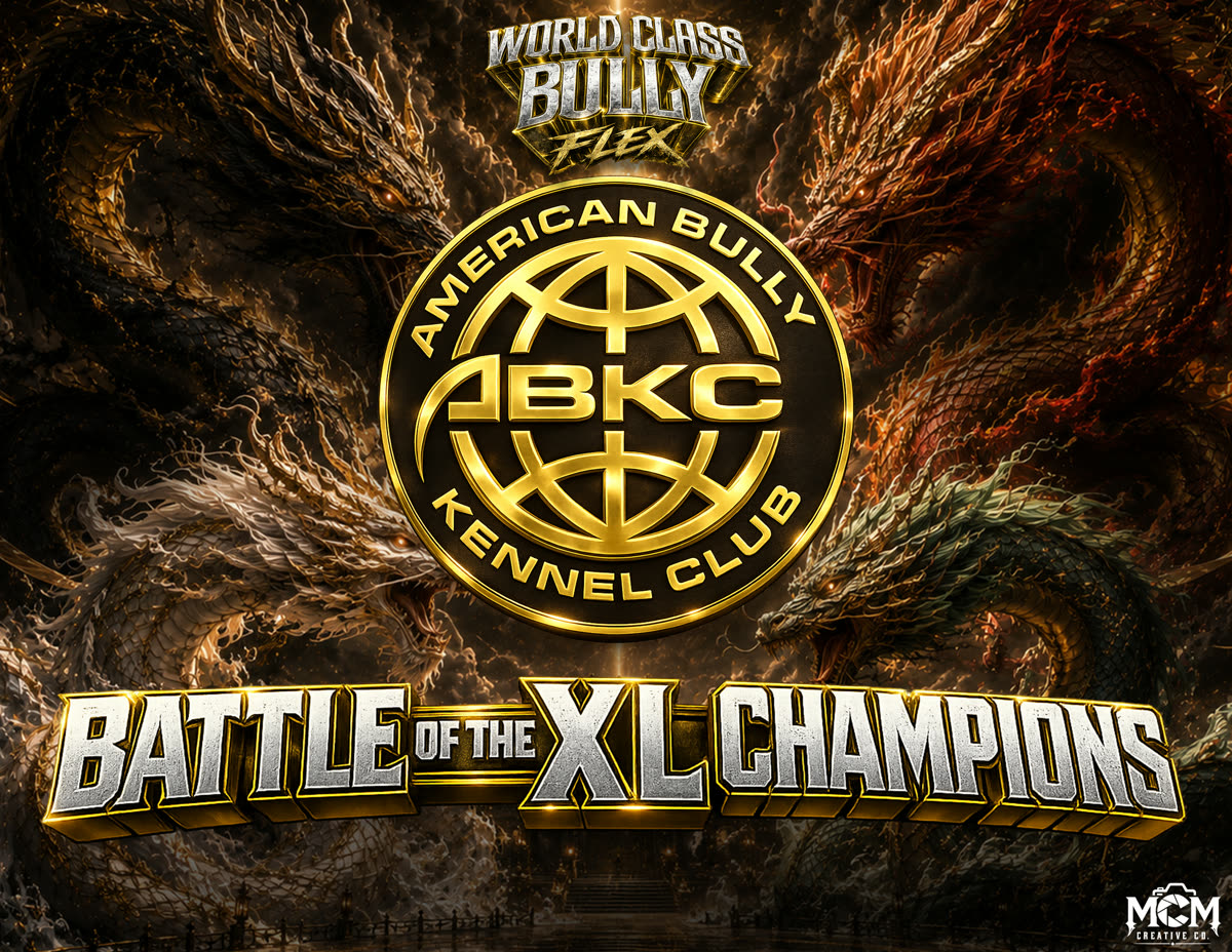 Battle of Champs XL poster
