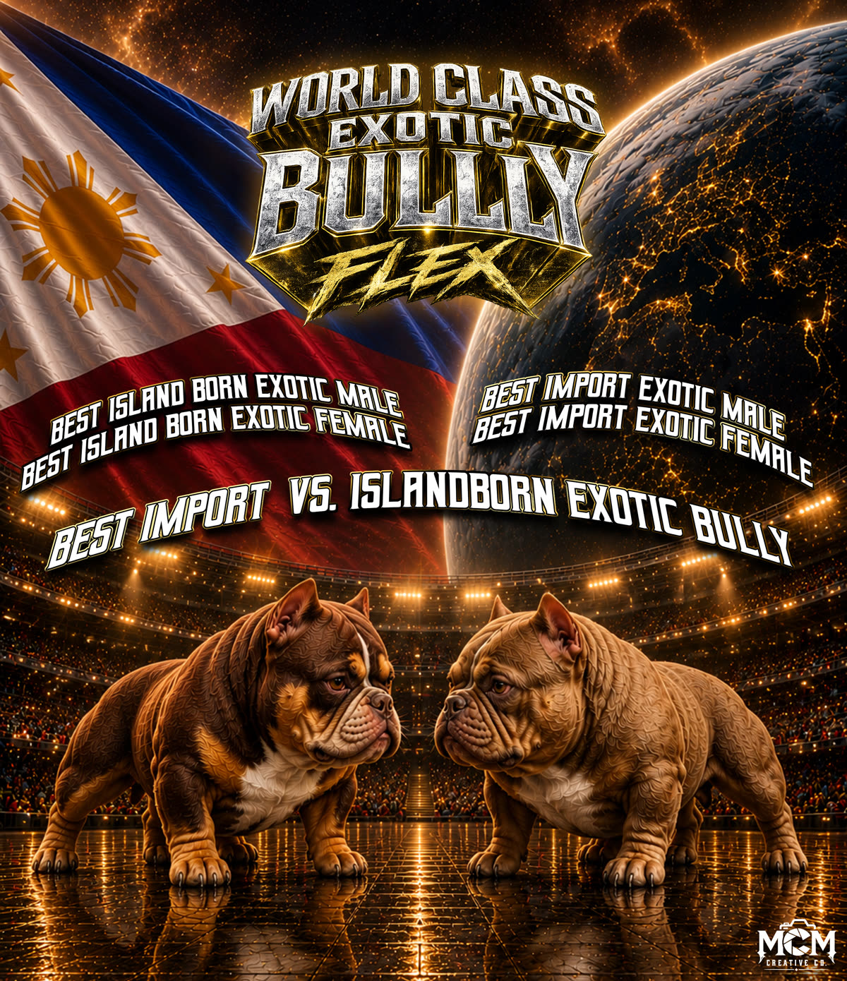 Fun Match poster