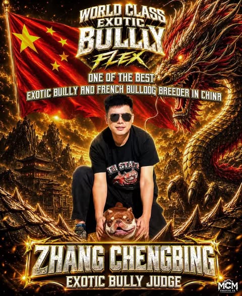 Zhang Chengbing, Exotic Bully Judge