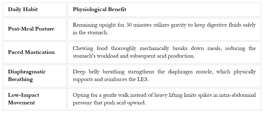 Lifestyle Mechanics for Morning Reflux: Nutrition is heavily influenced by mechanics. How you eat is just as critical as what you eat. Lifestyle Mechanics for Morning Reflux: Nutrition is heavily influenced by mechanics. How you eat is just as critical as what you eat.