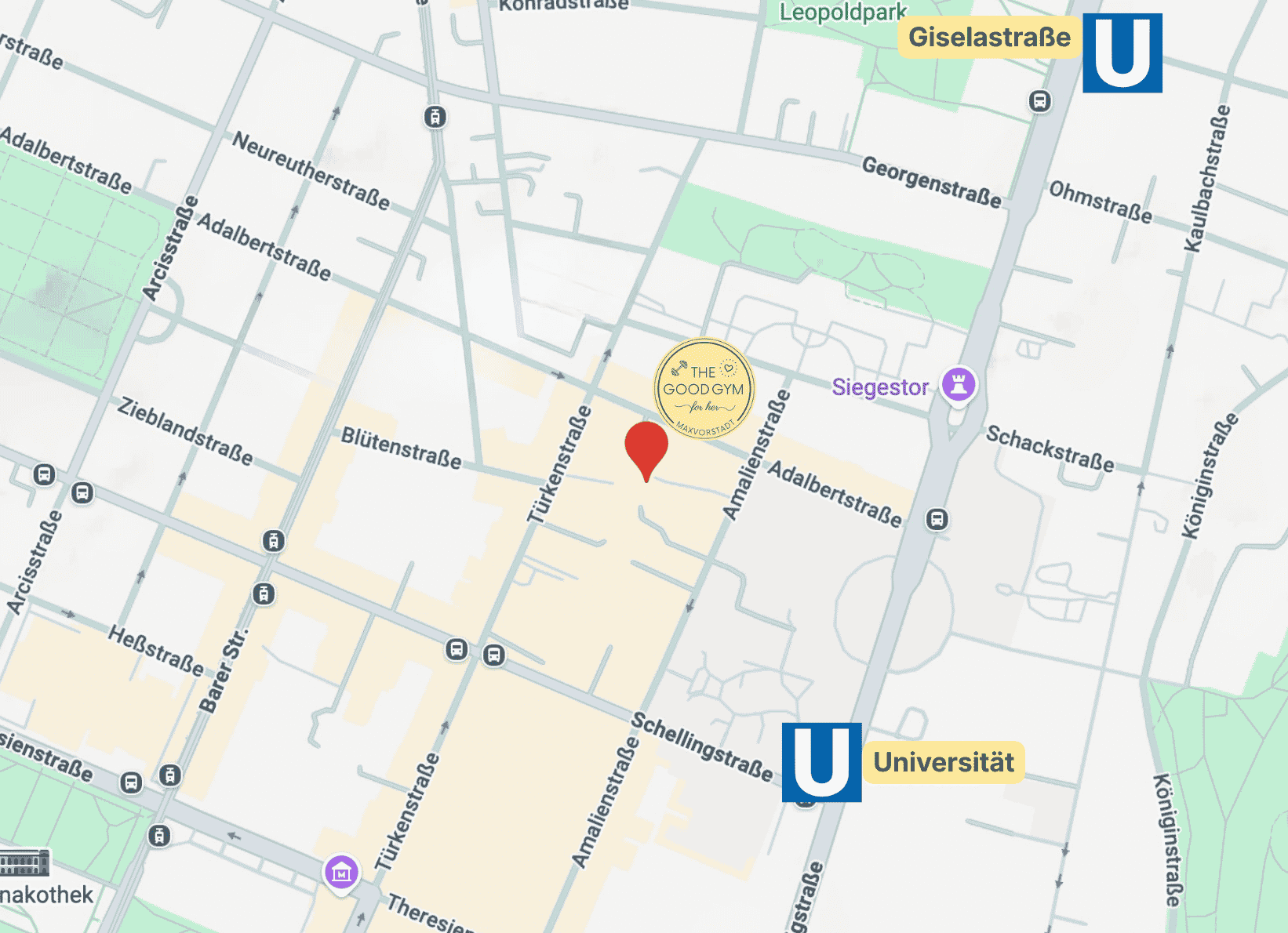 Map of Maxvorstadt showing The Good Gym between Türkenstraße and Amalienstraße, near Siegestor and U Universität