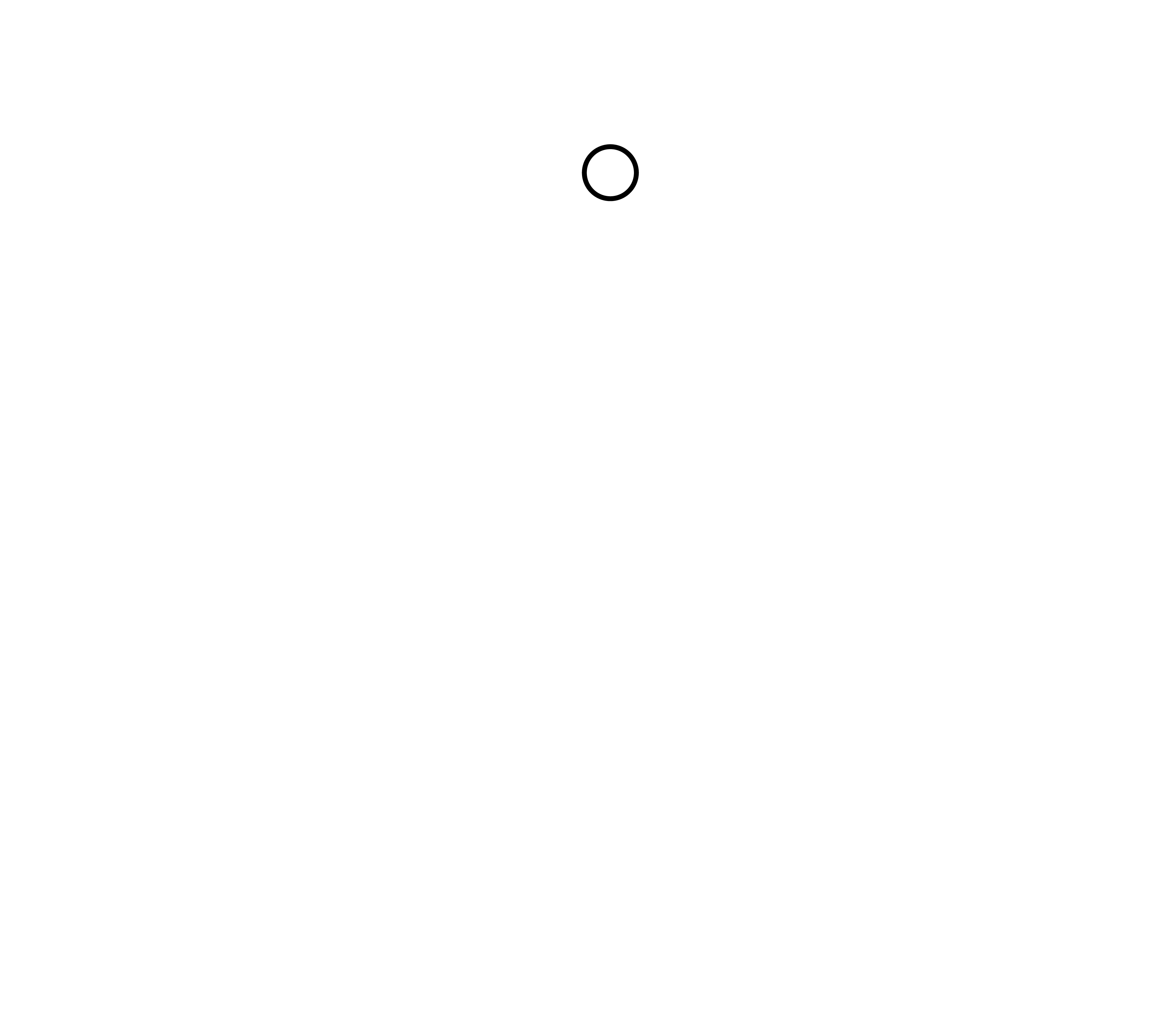 Simple CFO