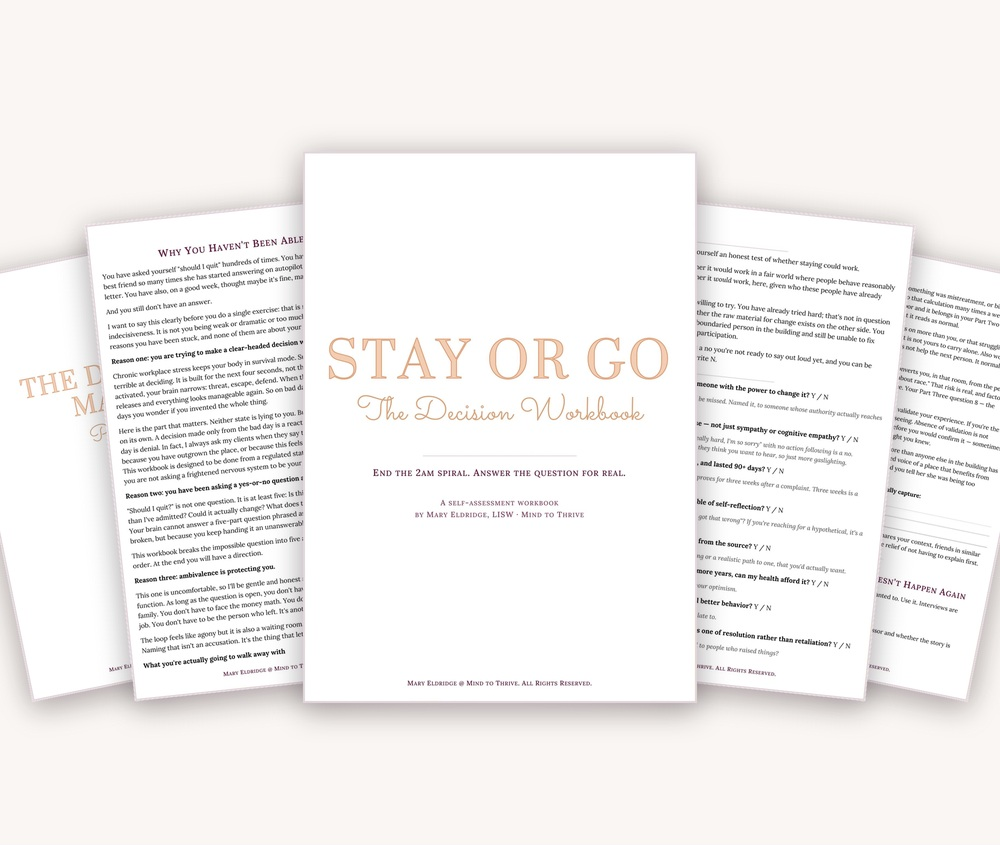 Preview of the Stay or Go Decision Workbook — cover and inside pages fanned out