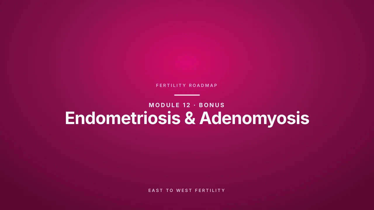 Bonus: Endometriosis & Adenomyosis