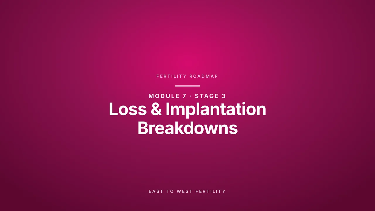 Stage 3: Loss & Implantation Breakdowns