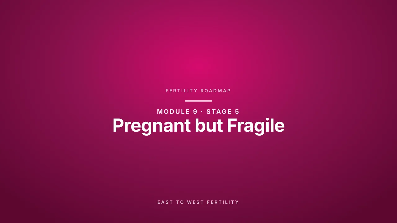 Stage 5: Pregnant But Fragile