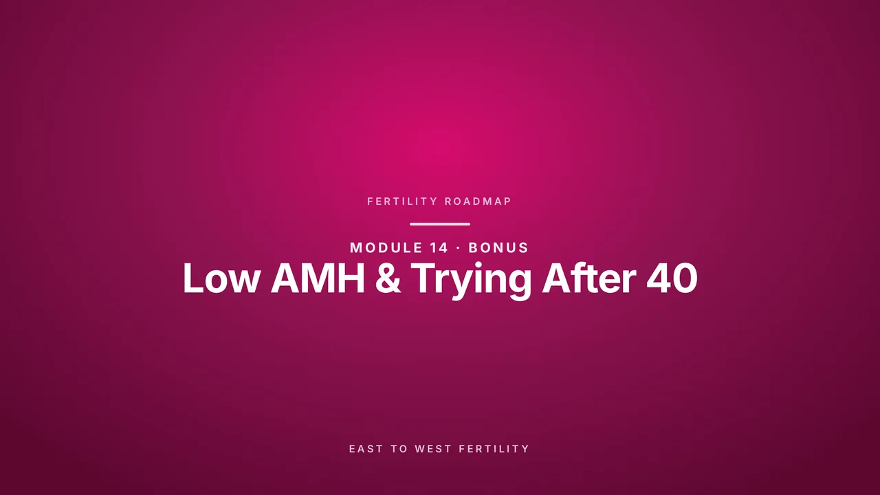 Bonus: Low AMH & Trying After 40