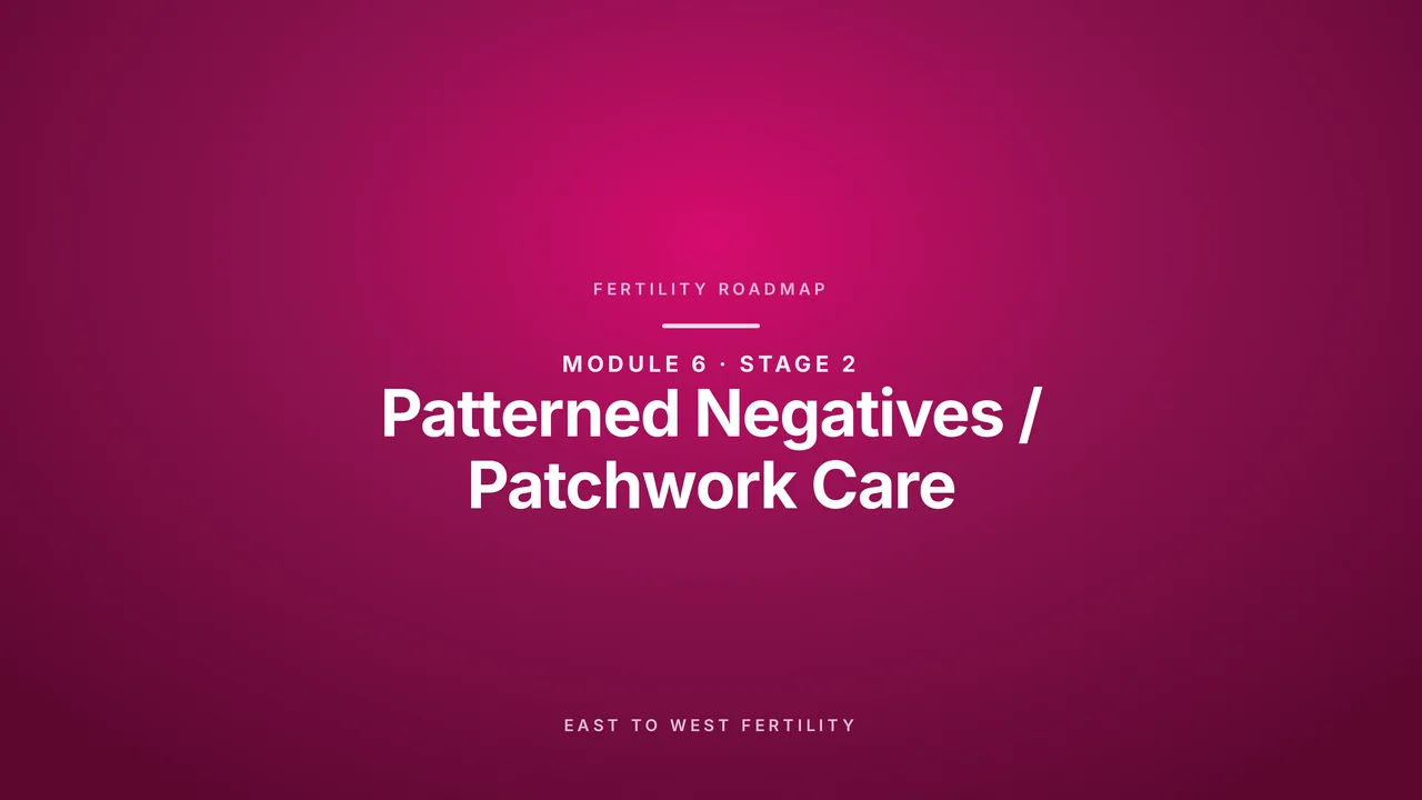 Stage 2: Patterned Negatives & Patchwork Care