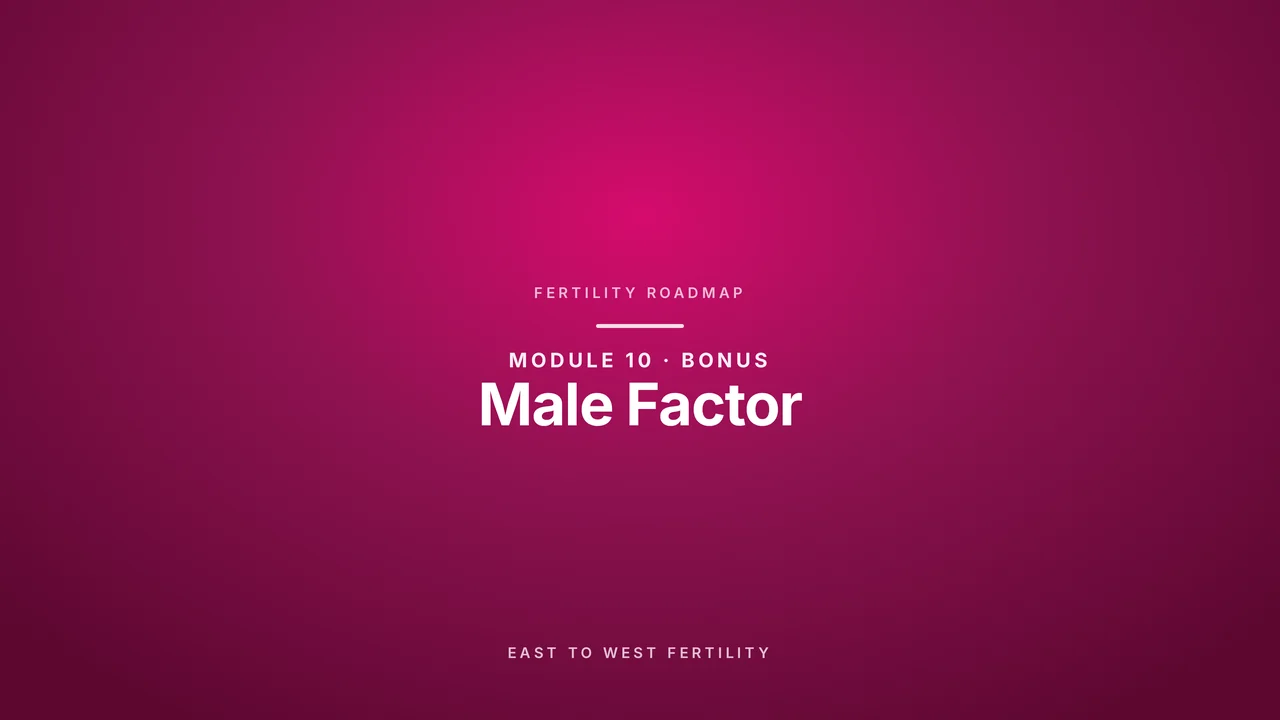 Bonus: Male Factor