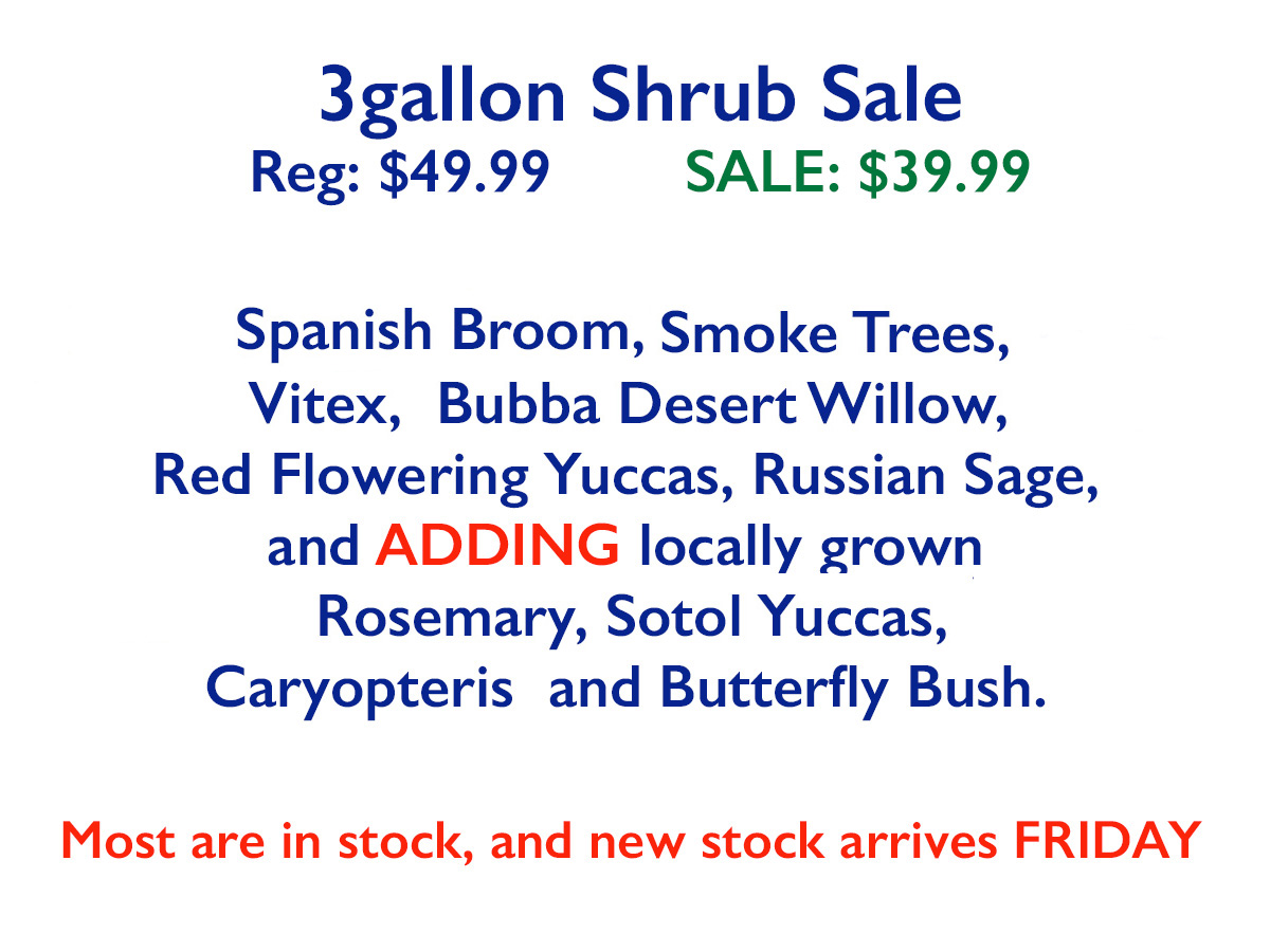 3gal Shrub Sale