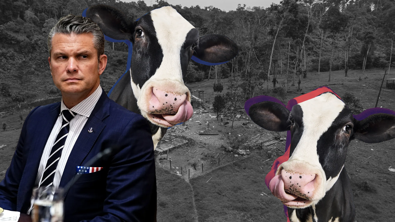Pete Hegseth Says They Bombed a Drug Camp, But It Was Actually Just a Cow Farm?