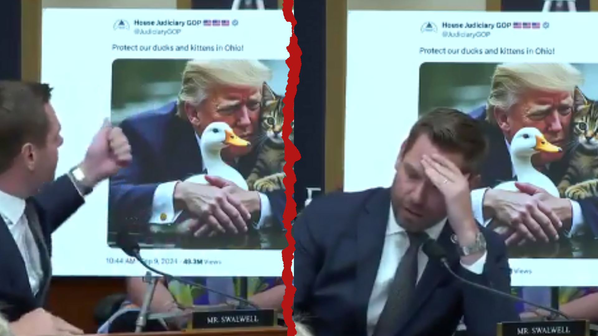 Throwback Clip Shows Eric Swalwell’s Reaction to President Donald Trump Cat Memes