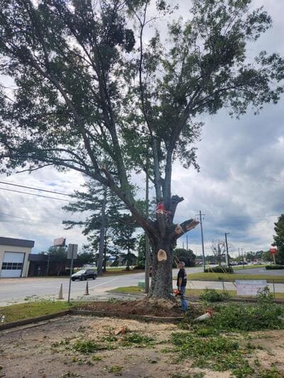 Land clearing in Covington ga