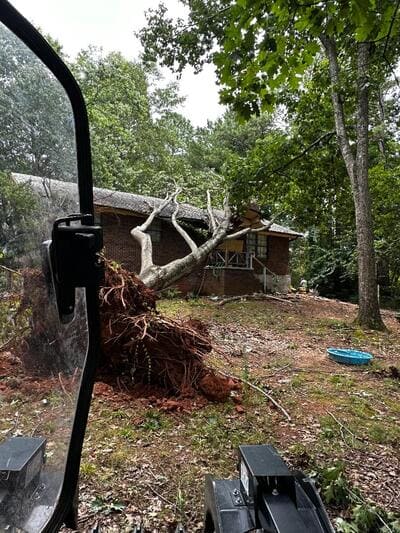 Stump grinding in Covington ga