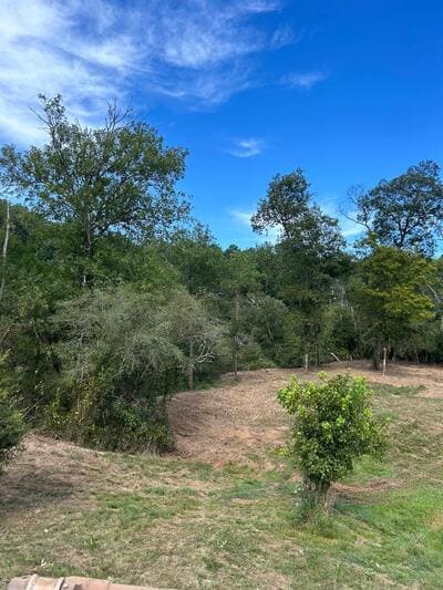 {{ custom_values.service_4 }} in {{custom_values.area_3})