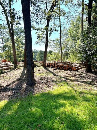 Forestry Mulching in Oxford