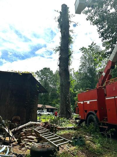 Fences in Covington ga
