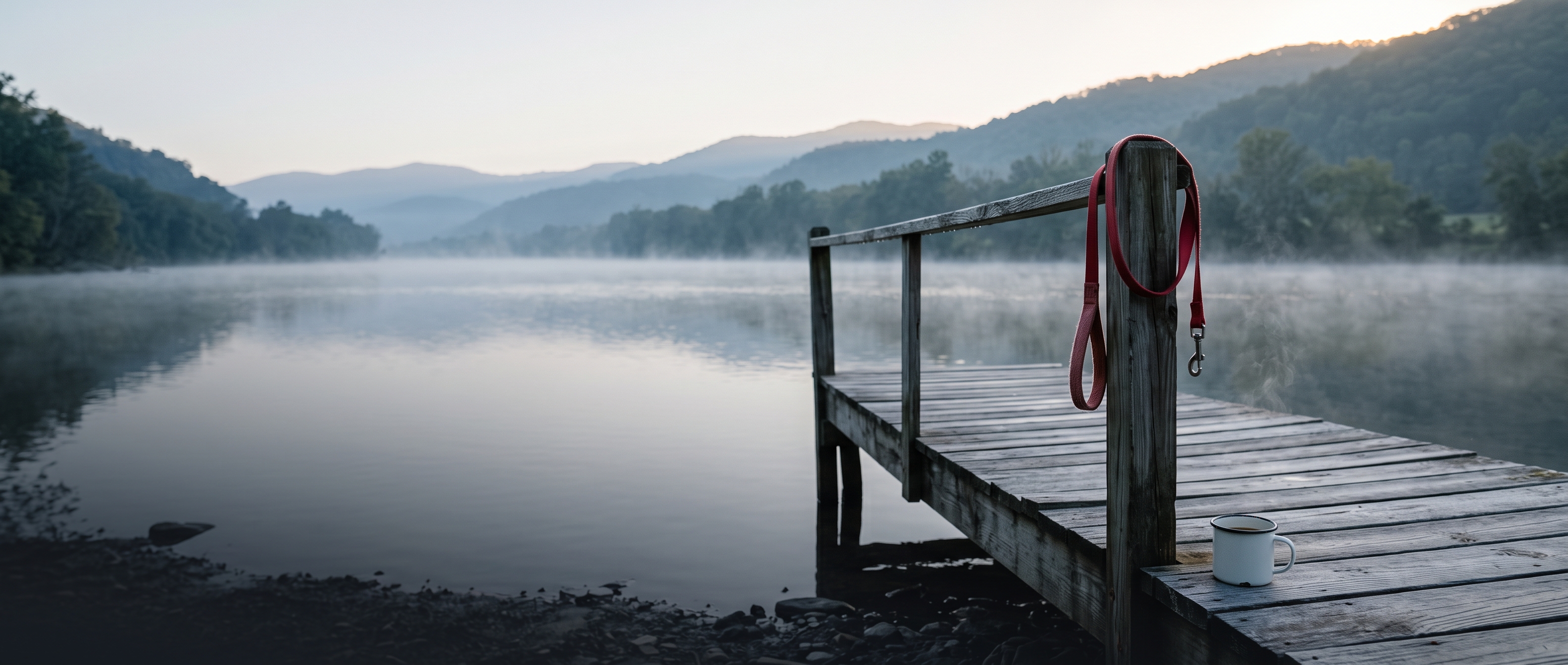 Morning mist on the Nolichucky River in Tennessee, where Craig spent three months. An empty wooden dock runs into the water, with Penny's red leash looped over the last post and a half-drunk mug of coffee left on the boards.