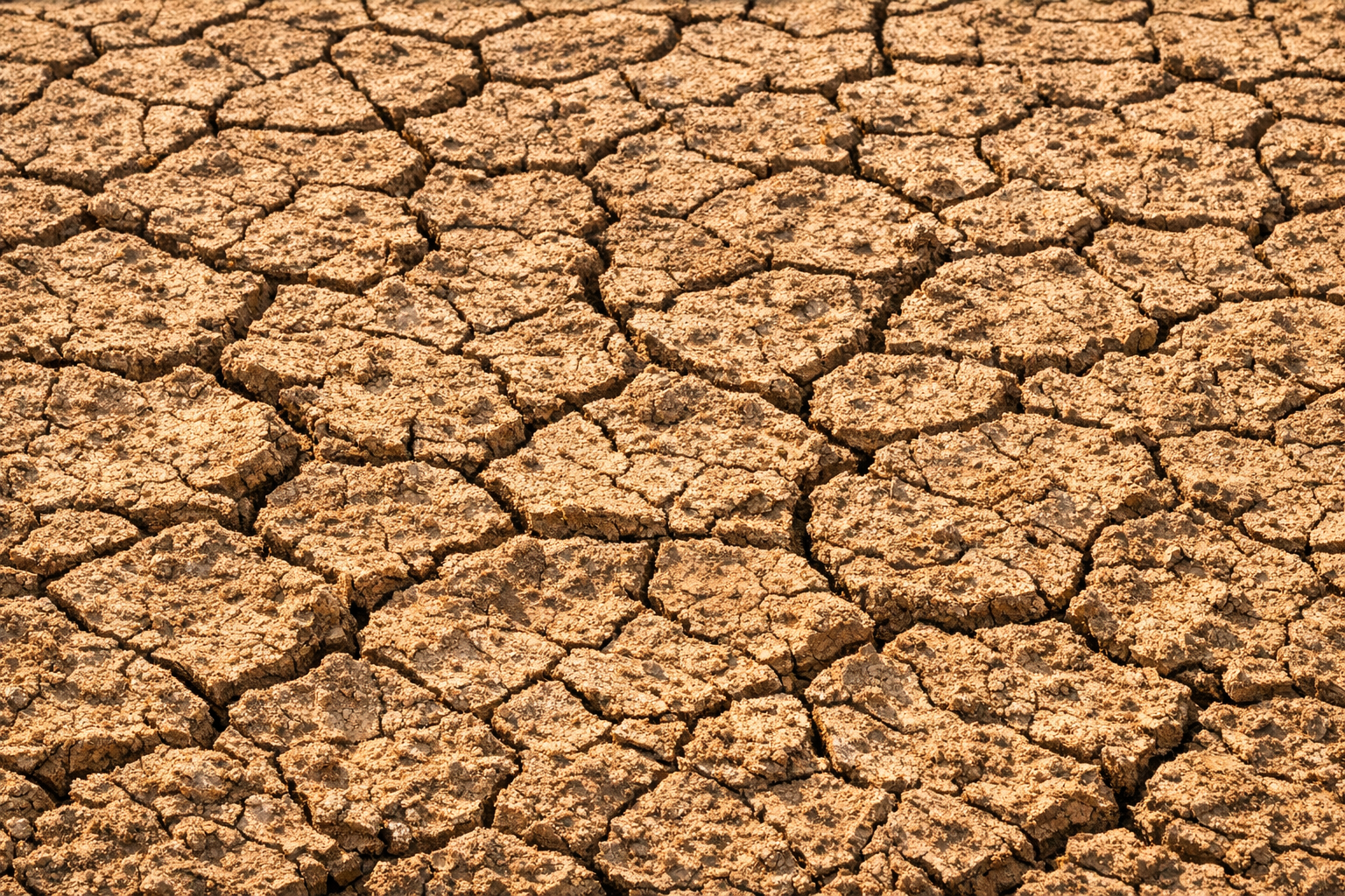 dry and cracked desert land