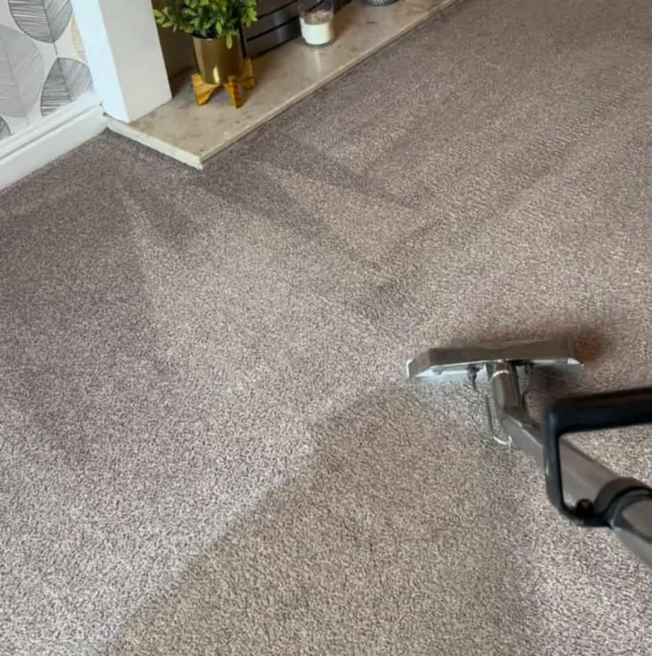 Carpet Cleaning