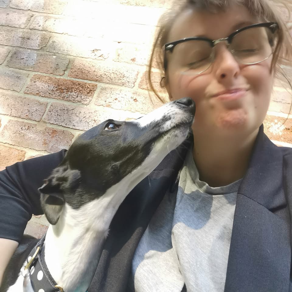 Whippet School Training SIt