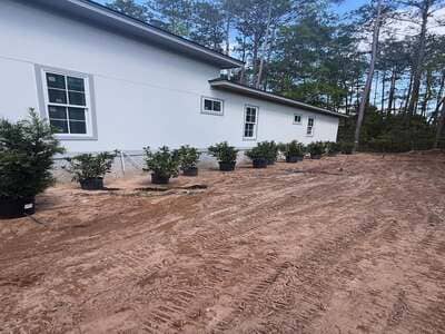 Bluffton Landscape Design & Maintenance