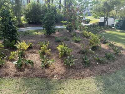 Landscape Design & Maintenance Hardeeville Sc