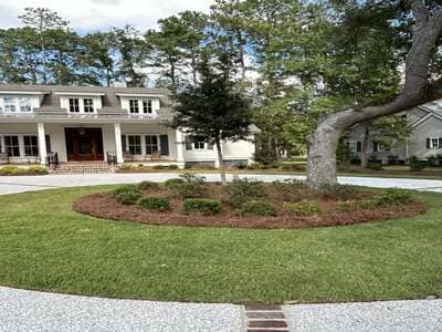 {{ custom_values.service_1 }} in {{custom_values.biz_area_1})