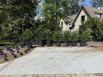 Complete Landscape Installation Hardeeville Sc