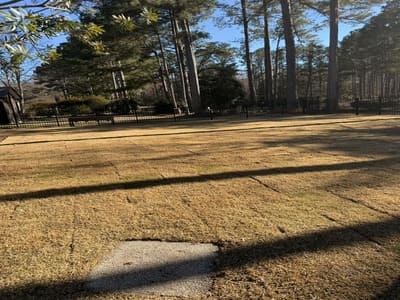 Hardscape Installation Hardeeville Sc