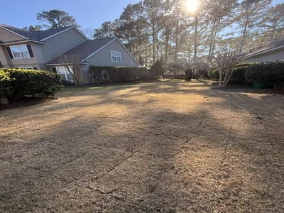 Complete Landscape Installation Hardeeville Sc