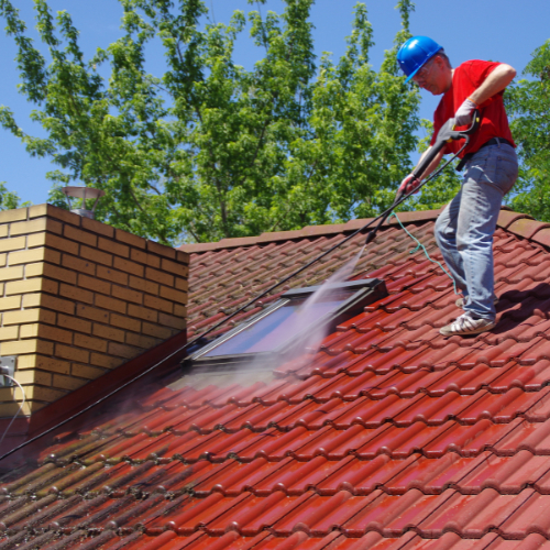 professional doing the roof & gutter cleaning