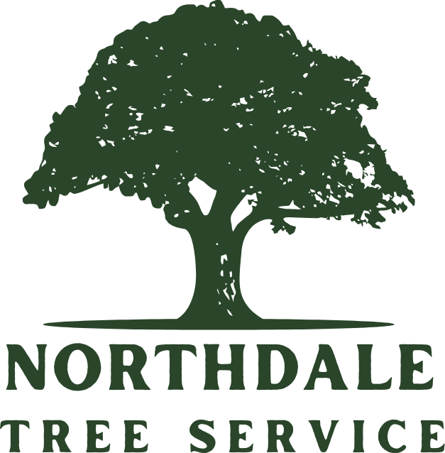 Northdale Tree Care