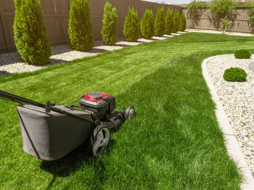 Mowing & Edge Trimming in Arundel