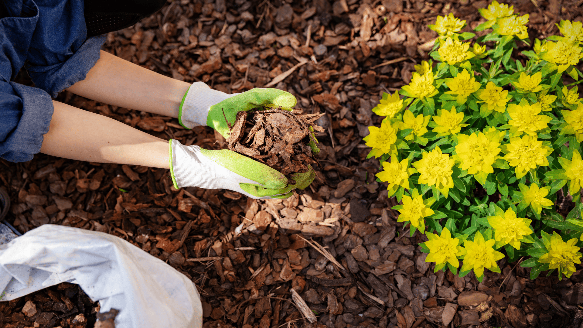  Gardening Maintenance