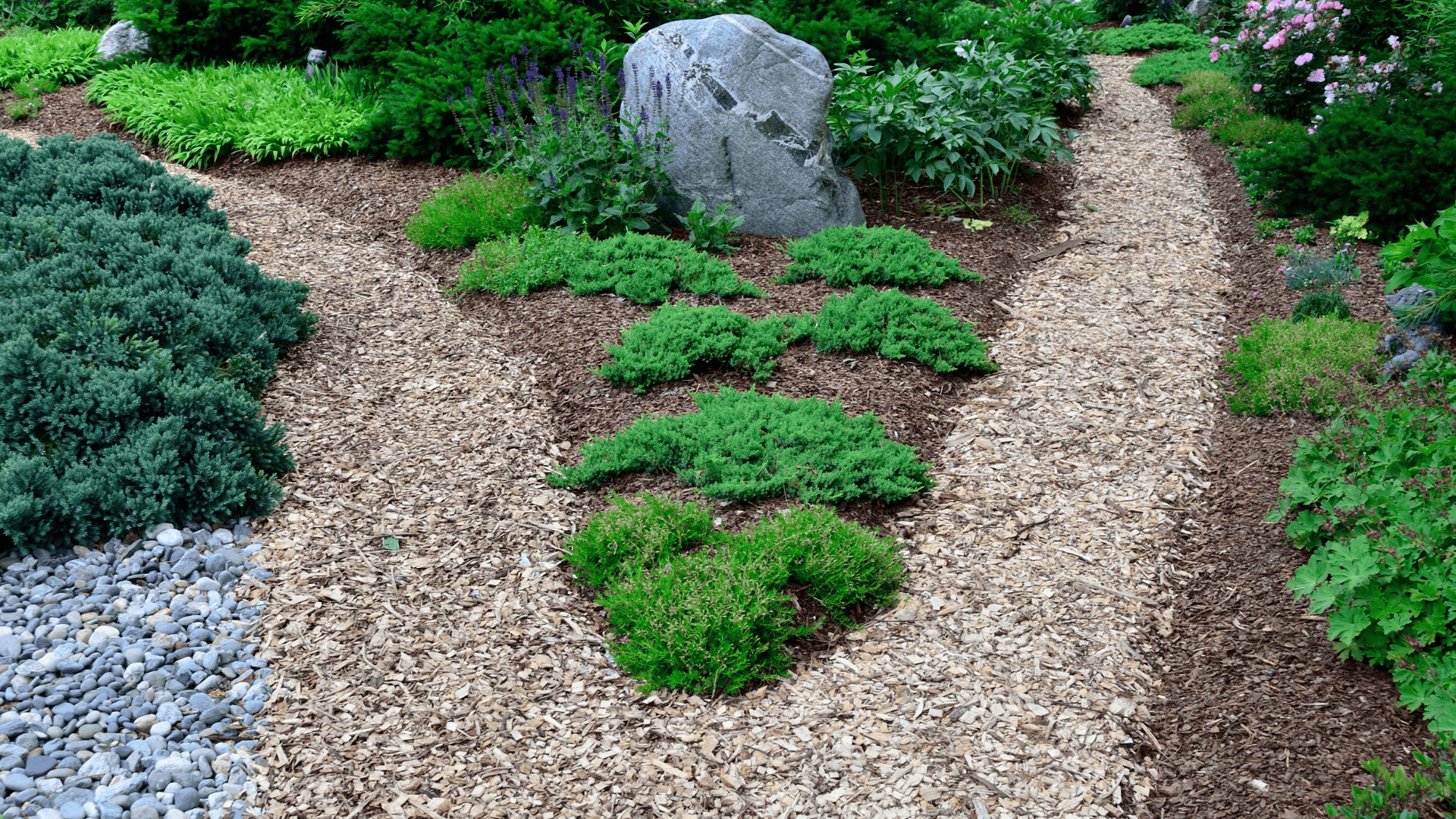  Gardening Maintenance