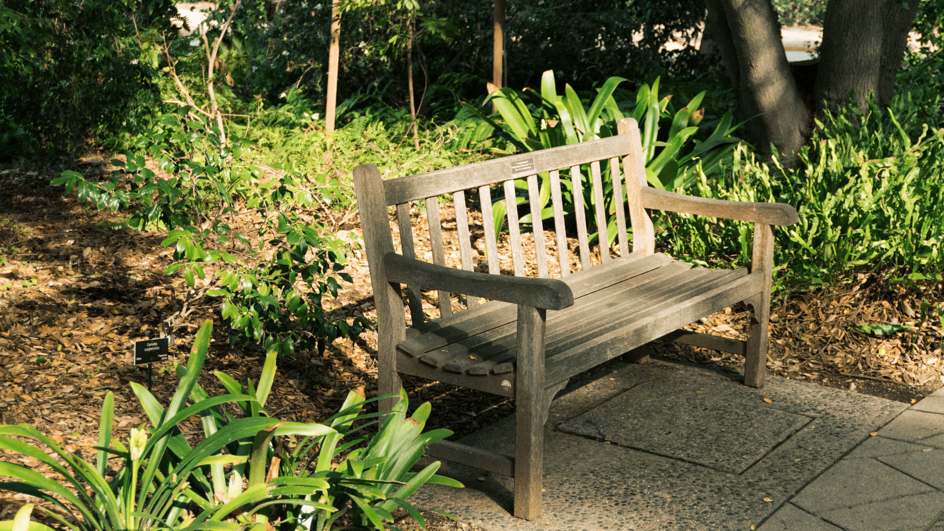 Ashmore Mulch Installation